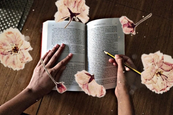 Our Small Wonders - Blog